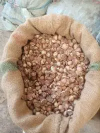 Split Betel Nut