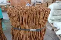 Cinnamon/Cassia Vera