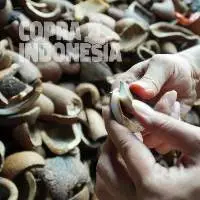 Dry White Brown Copra Meal Grade A