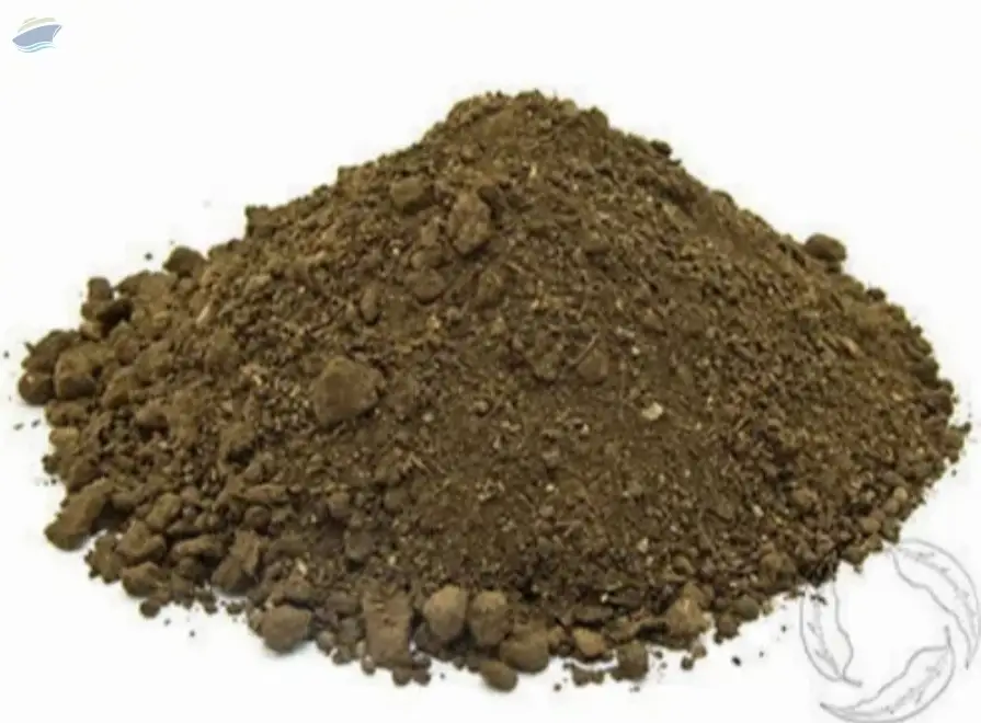 Organic Vermicompost Powder