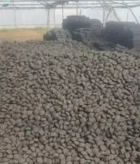 Coconut Shell Charcoal