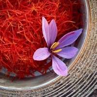 Saffron Extracts