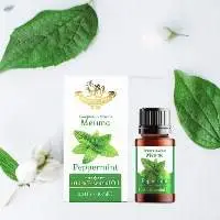 Peppermint Essential Oil 10 ml