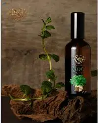 Natural Bulgarian Mint Water