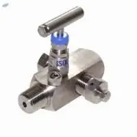 Multi-Port Gauge Valves