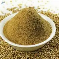 Coriander Powder