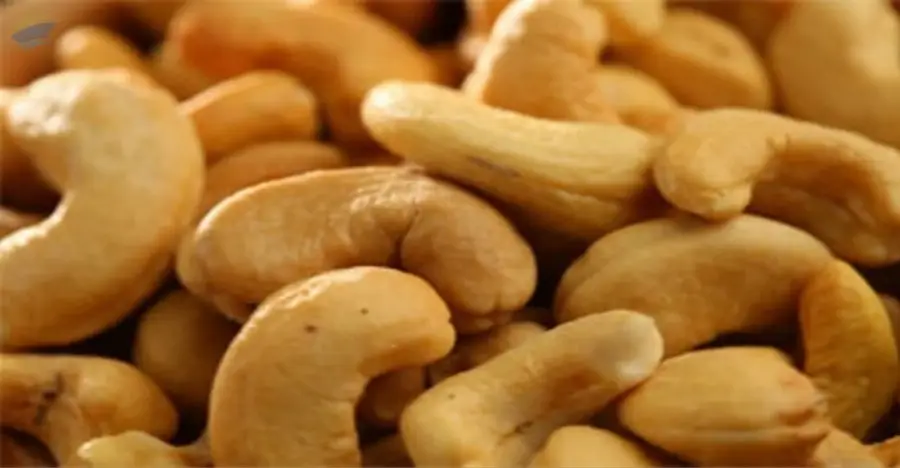 Cashew