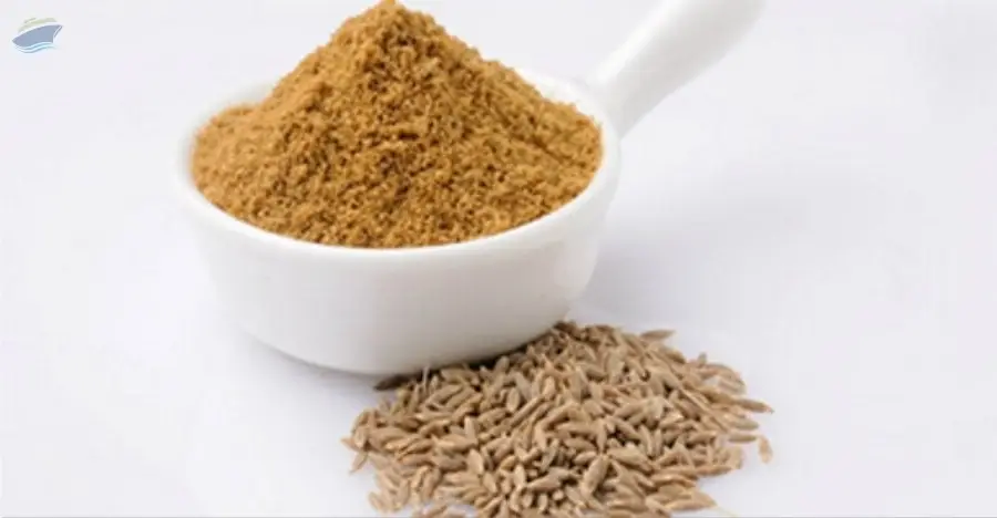 Ajwain