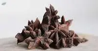 Anise