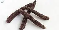 Long Pepper