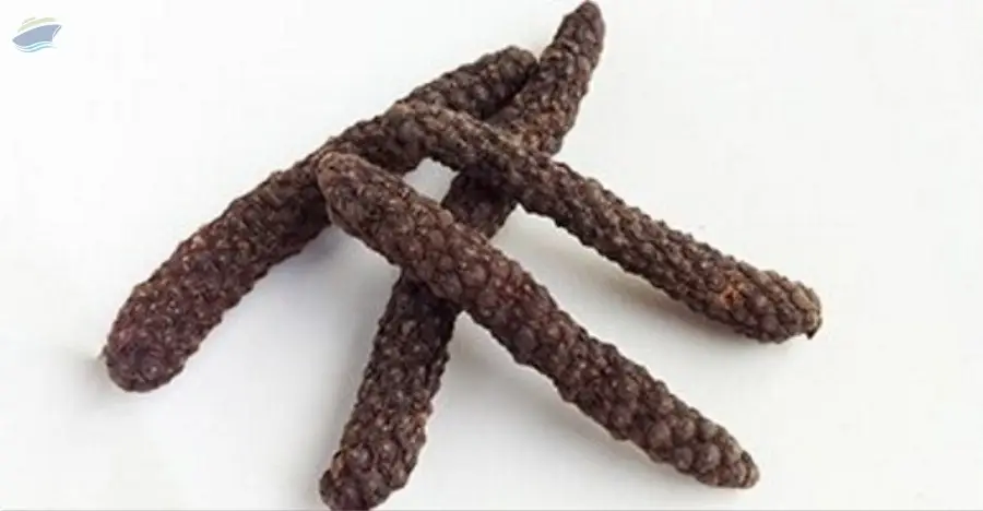 Long Pepper
