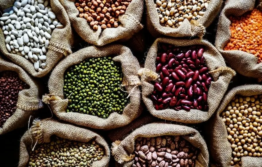 Lentil & Beans