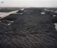 Forma Sale Thermal Coal Type B