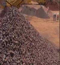 Manganese