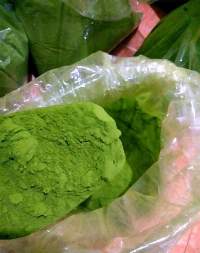 Moringa Leaf Powder