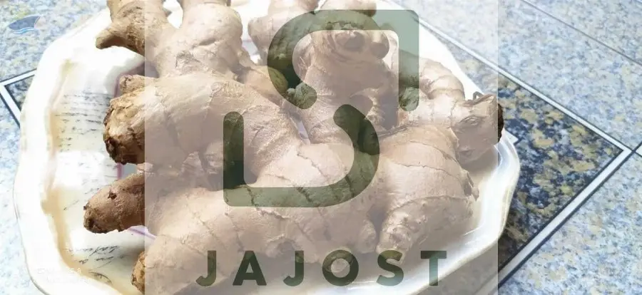 Fresh Ginger