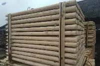 Acacia Poles