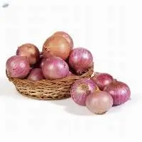 Onion