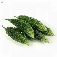 Bitter Gourd