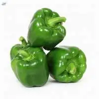 Capsicum