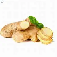 Ginger