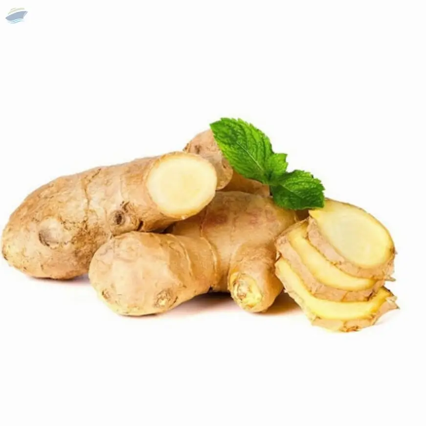 Ginger
