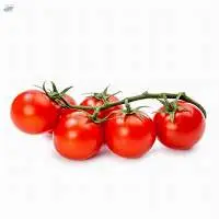 Baby Tomato