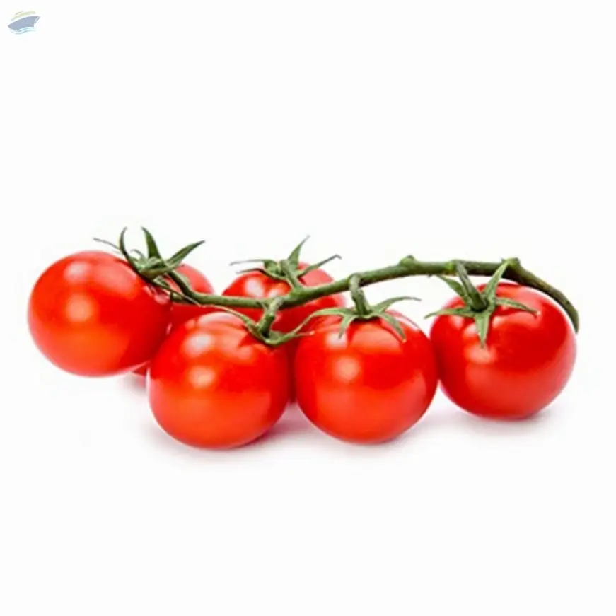 Baby Tomato