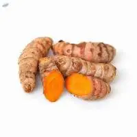 Turmeric Root