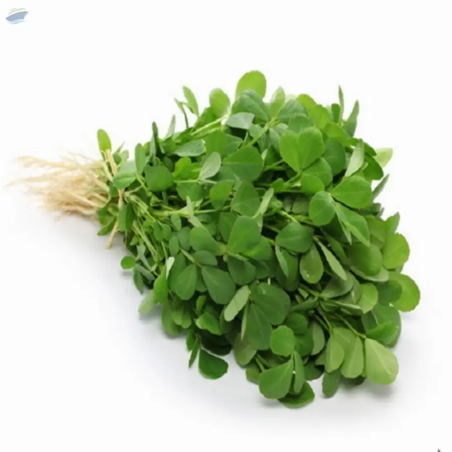 Fenugreek Leaves