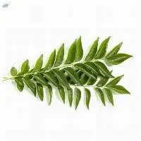 Curry Leaves