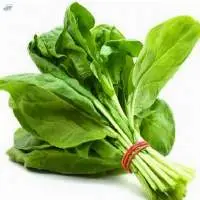Spinach