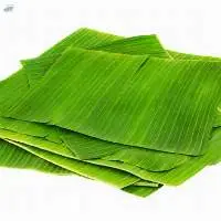 Banana Leaves