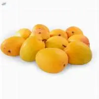 Alphonso Mango