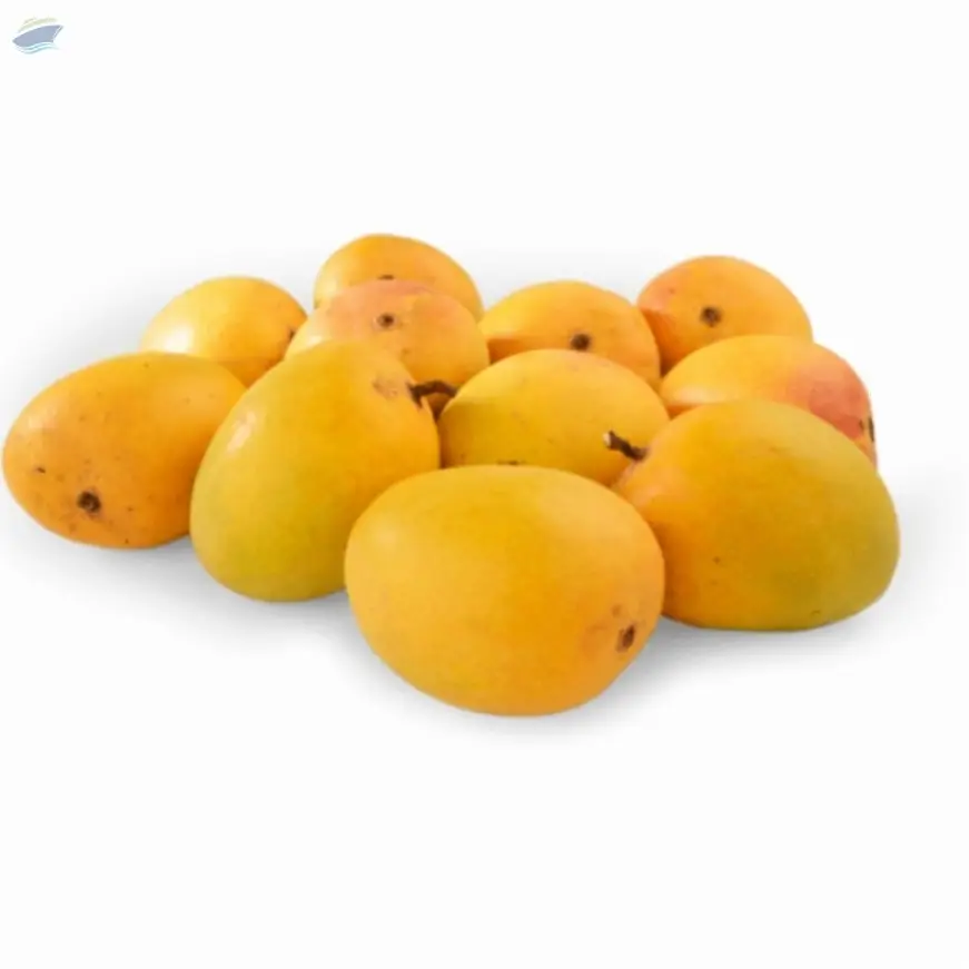 Alphonso Mango