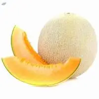 Musk Melon
