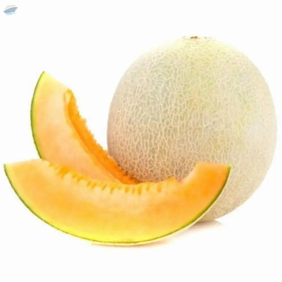 Musk Melon