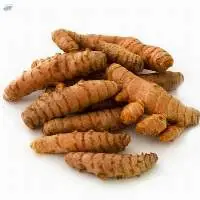 Turmeric