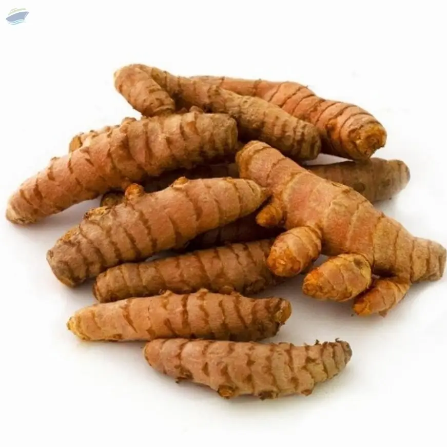 Turmeric