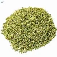 Fennel