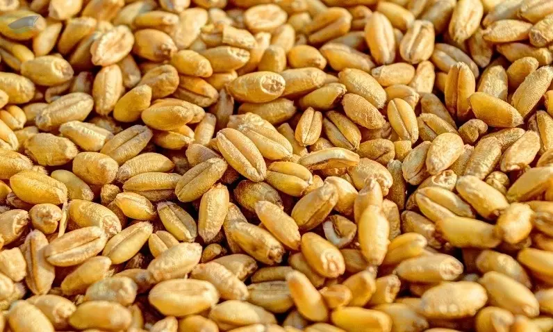 Wheat Soft (3rd Class)
