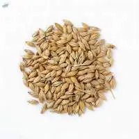 Barley Seeds