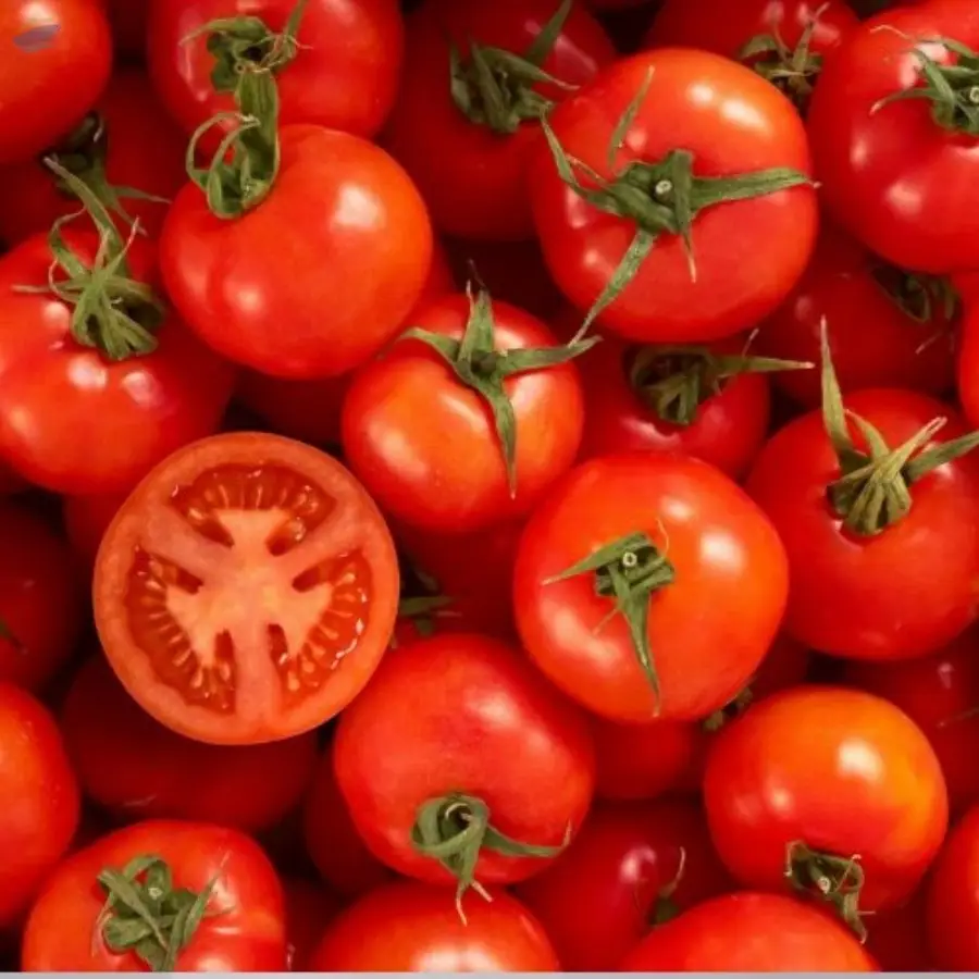 Tomato