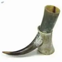 Buffalo Drinking Horn