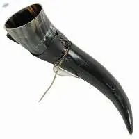 Buffalo Drinking Horn Plain