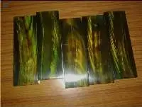 Water Buffalo Horn With Green Strip