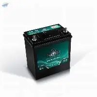 NS25 Batteries 