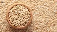Sesame Seeds Til Seeds