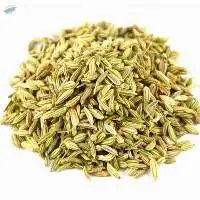 Fennel Seeds