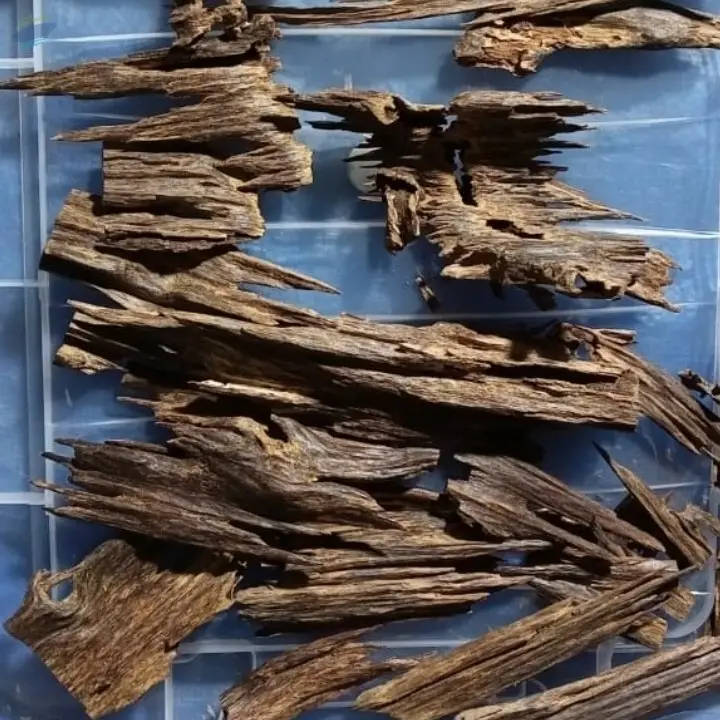 Agarwood